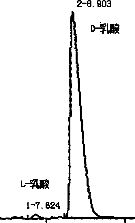 Method for preparing high optical purity D-lactic acid by fermentation