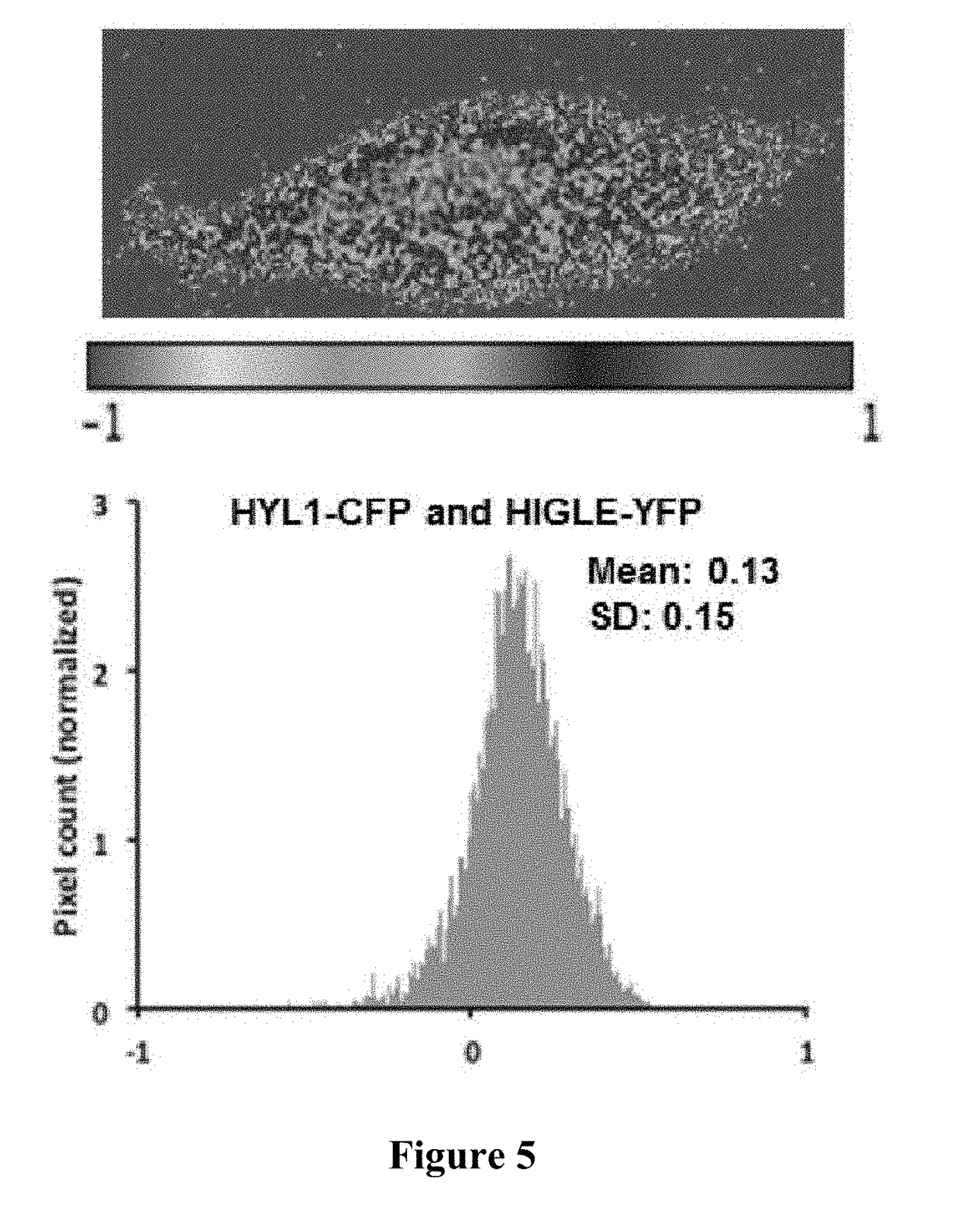 Detection of nucleic acid sequences using endonuclease