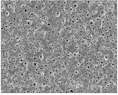 Micro-arc oxidation ceramic membrane and preparation method thereof