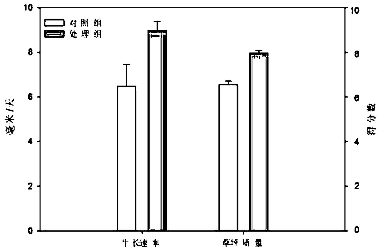 Preparation method and application of potassium-dissolving microbial agent