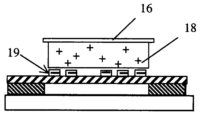 Method and System For Collecting Cells Following Laser Microdissection