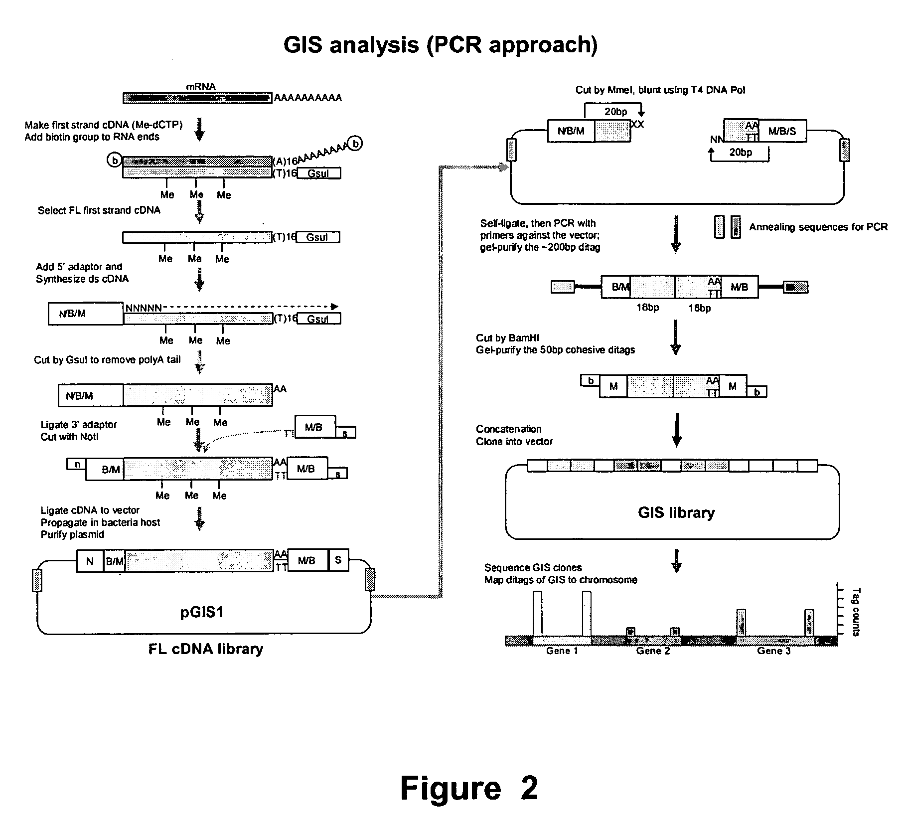 Method for gene identification signature (GIS) analysis