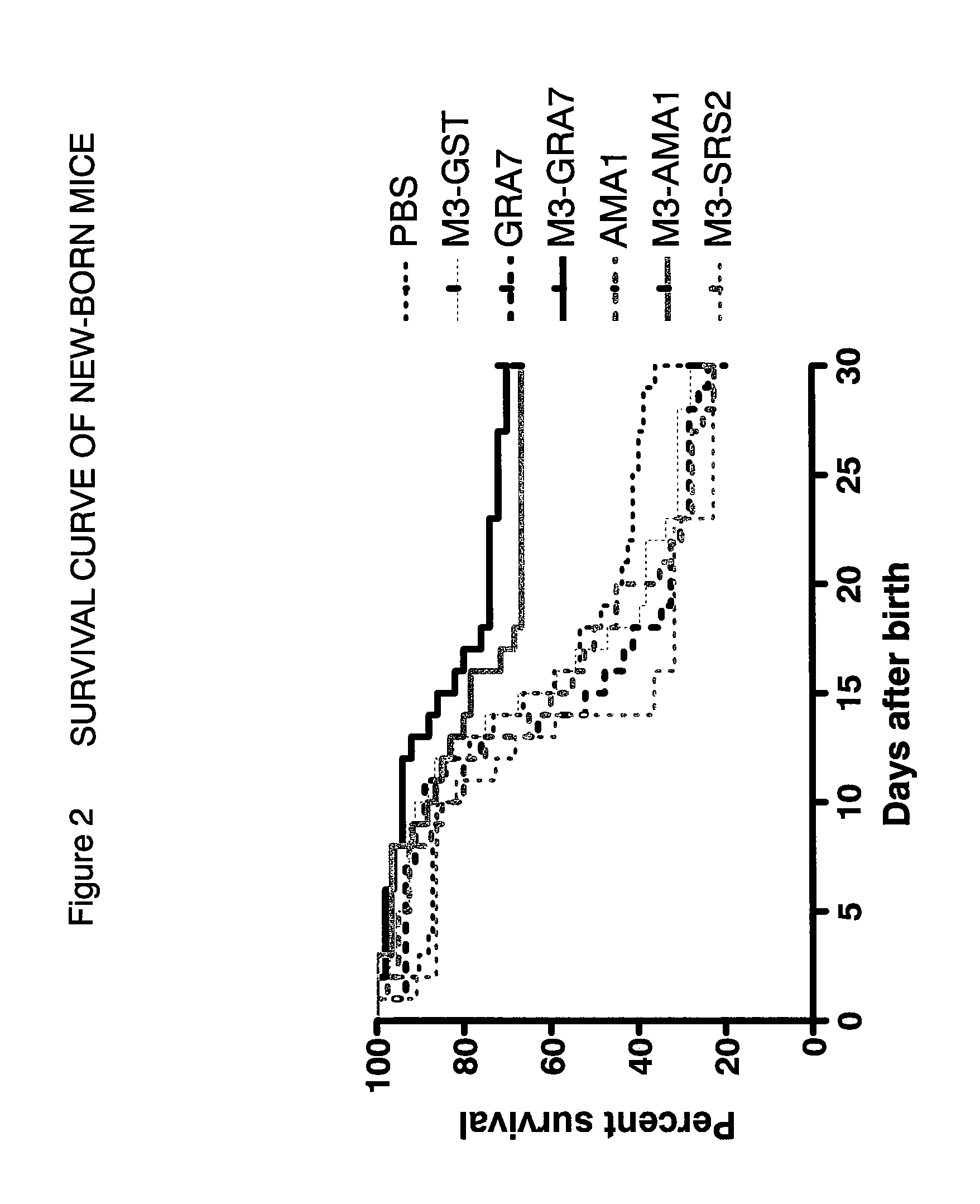 Vaccine preparation for neospora caninum infection