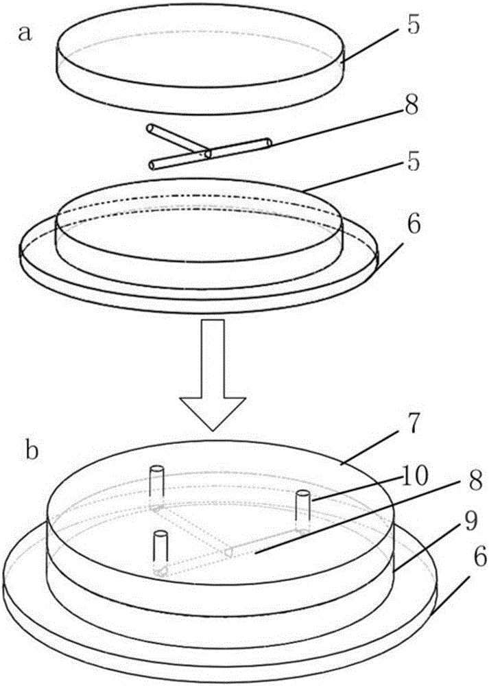 PDMS (polydimethylsiloxane) microfluidic chip structure and preparation method thereof