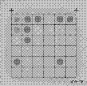 Mycobacterium tuberculosis drug-resistant mutant gene detection kit