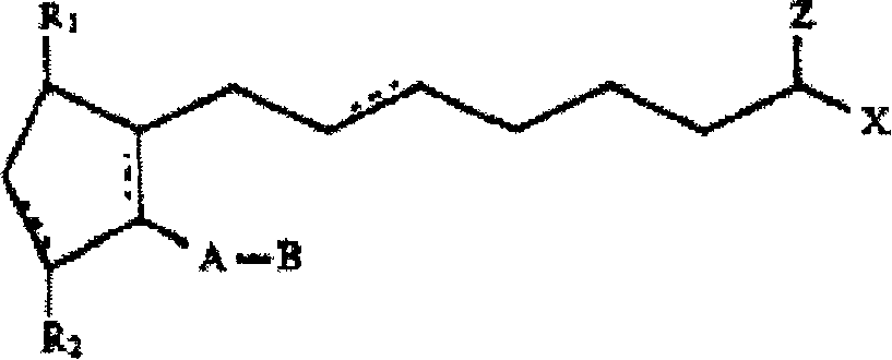 Biodegradable intraocular implants containing prostamides