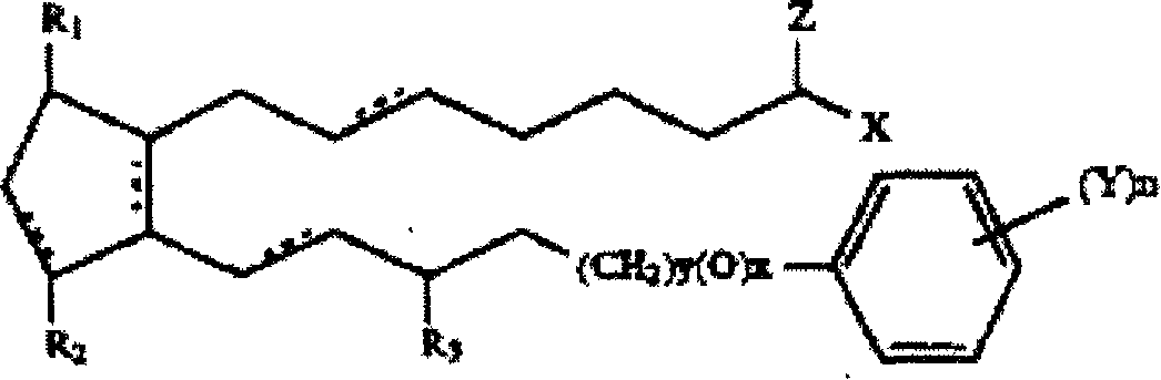 Biodegradable intraocular implants containing prostamides