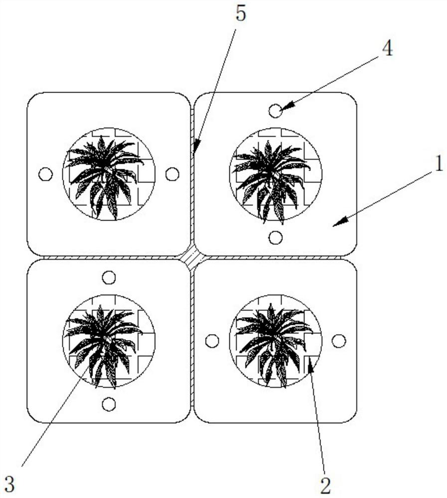 Ecological retaining structure and construction method of expansive soil slope