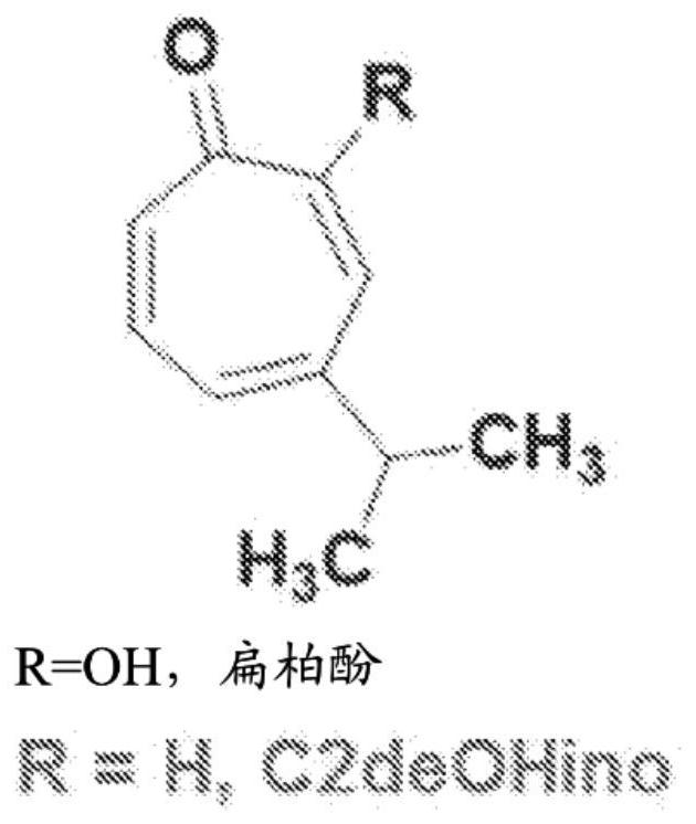 Hinokitiol analogues, methods of preparing and pharmaceutical compositions thereof