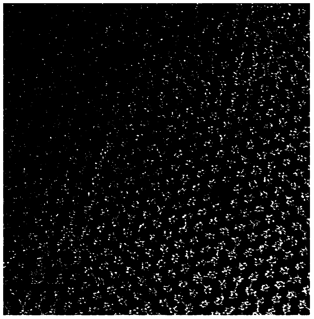 Method for preparing amorphous nanometer rhodium palladium alloy and catalytic application thereof