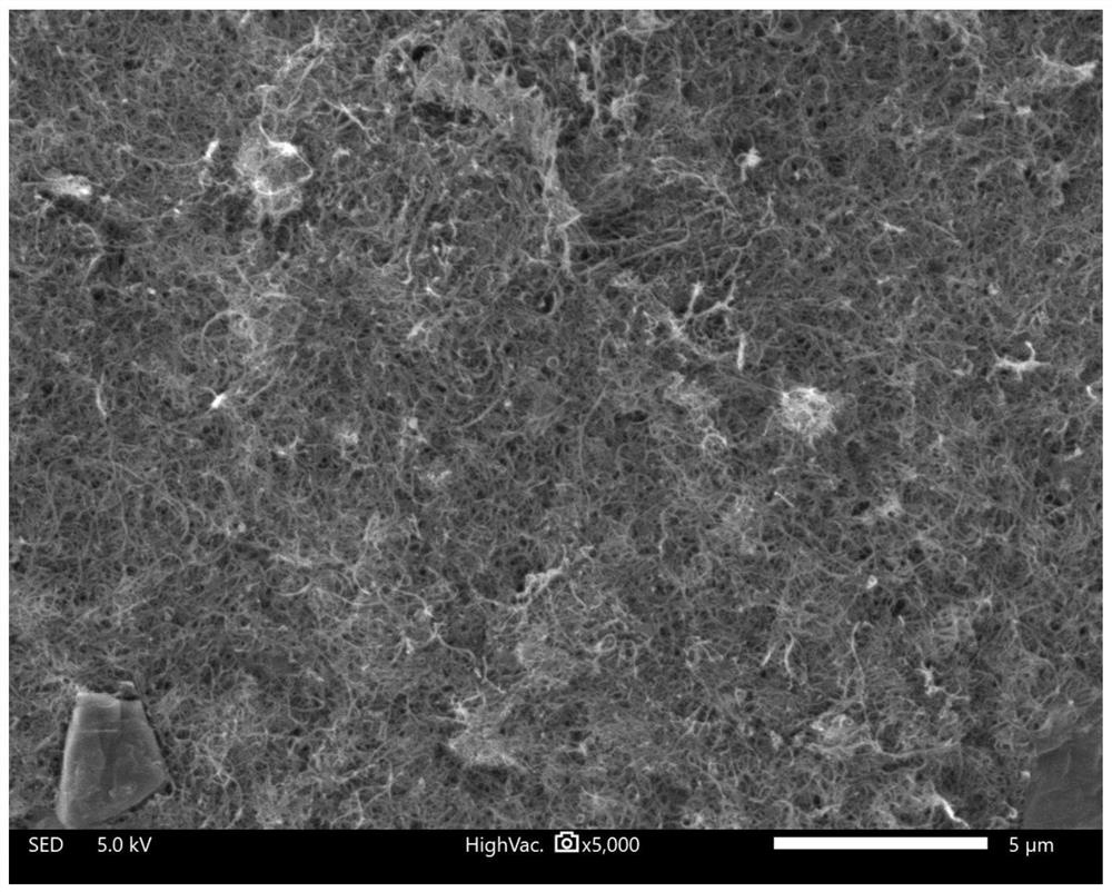 Preparation method and application of graphene/carbon nanotube composite porous membrane