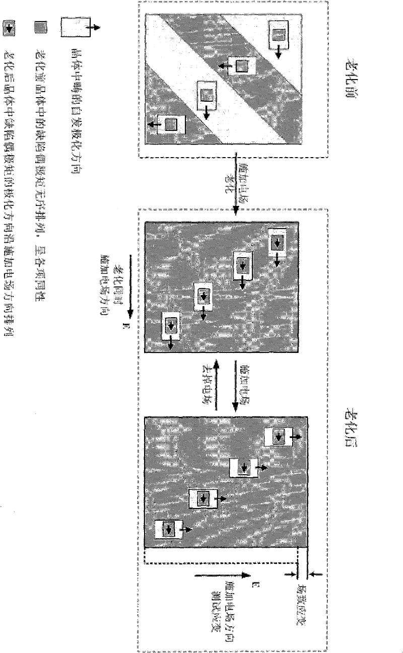 Method for preparing giant field induced strain barium titanate single crystal