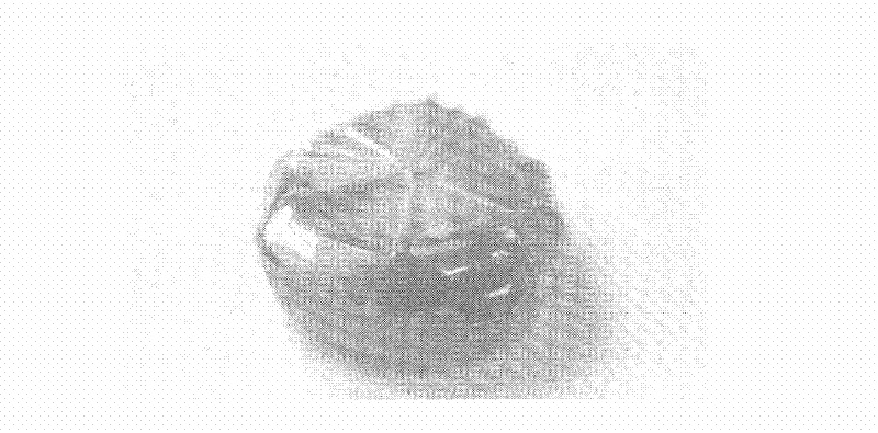 Method for preparing giant field induced strain barium titanate single crystal