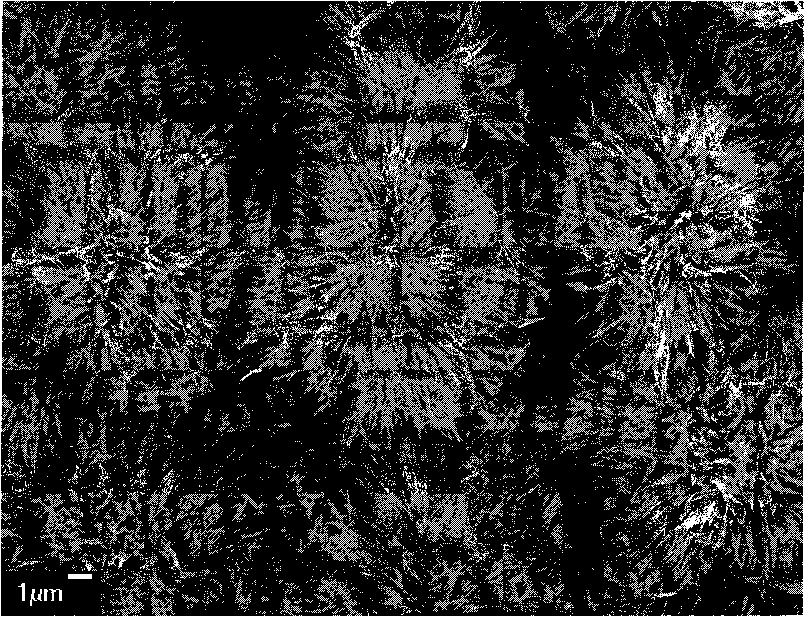 Phase-change material compounded with strip VO2 nanoflower structure on silicon substrate and preparation method thereof