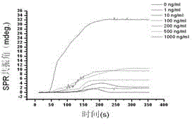 HPRT (hypoxanthine phosphoribosyl transferase) body gene mutation detection method based on surface plasmon resonance