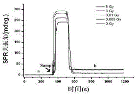 HPRT (hypoxanthine phosphoribosyl transferase) body gene mutation detection method based on surface plasmon resonance