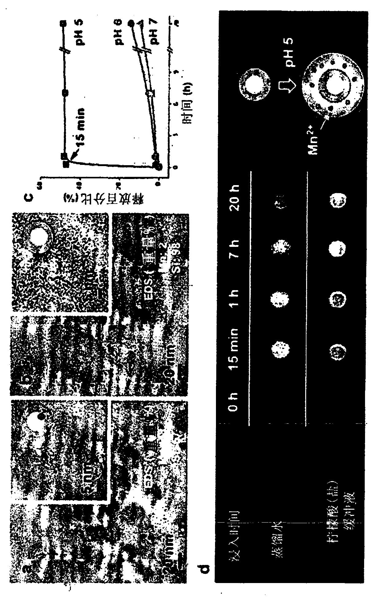 Diagnostic imaging hepatic tissue-specific contrast medium comprising manganese silicate nanoparticle