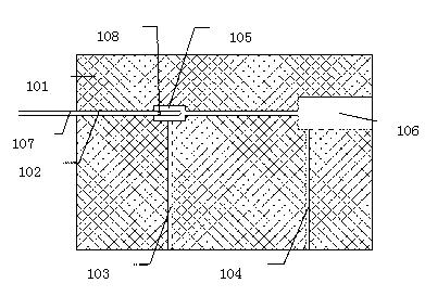 Blood gas analyzer and using method thereof