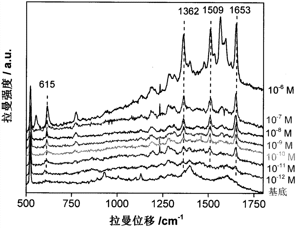 Three-dimensional SERS (surface enhanced raman scattering) substrate based on macromolecular brush/metal nanometer particle composite film and preparation method thereof