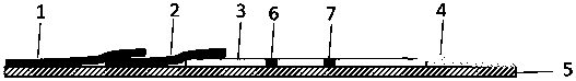 Test strip for detecting amphetamine and preparation method and application of test strip