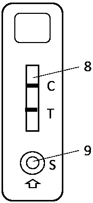 Test strip for detecting amphetamine and preparation method and application of test strip