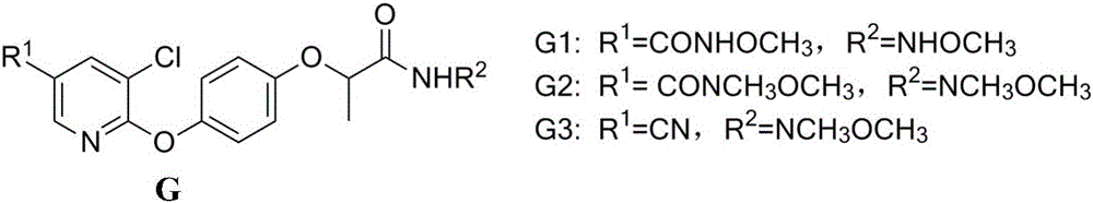 N-(oxo-ethyl)-2-[4-(pyridine-2-yl-oxy)phenoxy]amide derivative