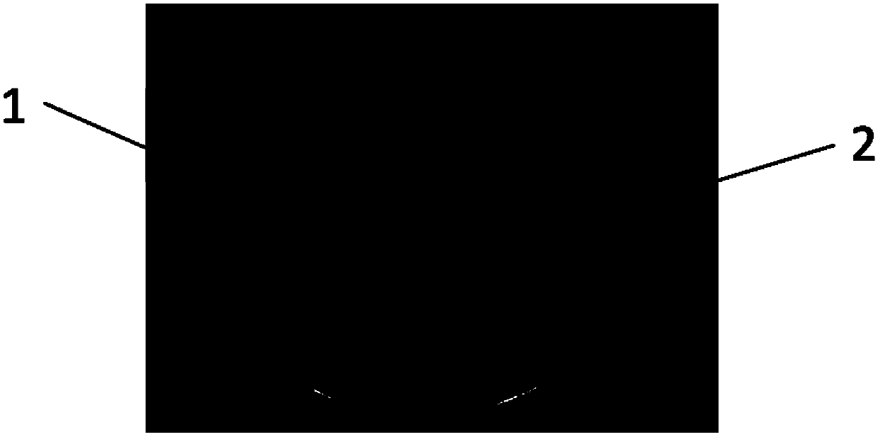 Strain applicable to industrial cultivation of white Flammulina velutipes and application thereof