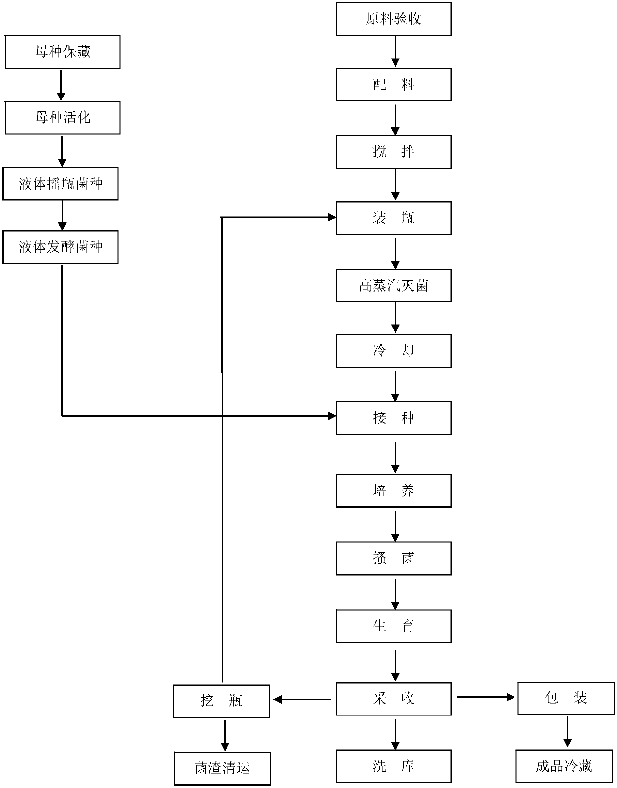 Strain applicable to industrial cultivation of white Flammulina velutipes and application thereof