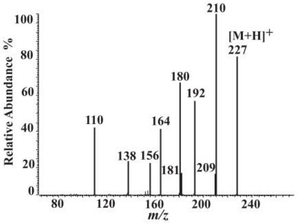 L-carnosine synthetase ATPGD derived from novel shellfish and application of L-carnosine synthetase ATPGD