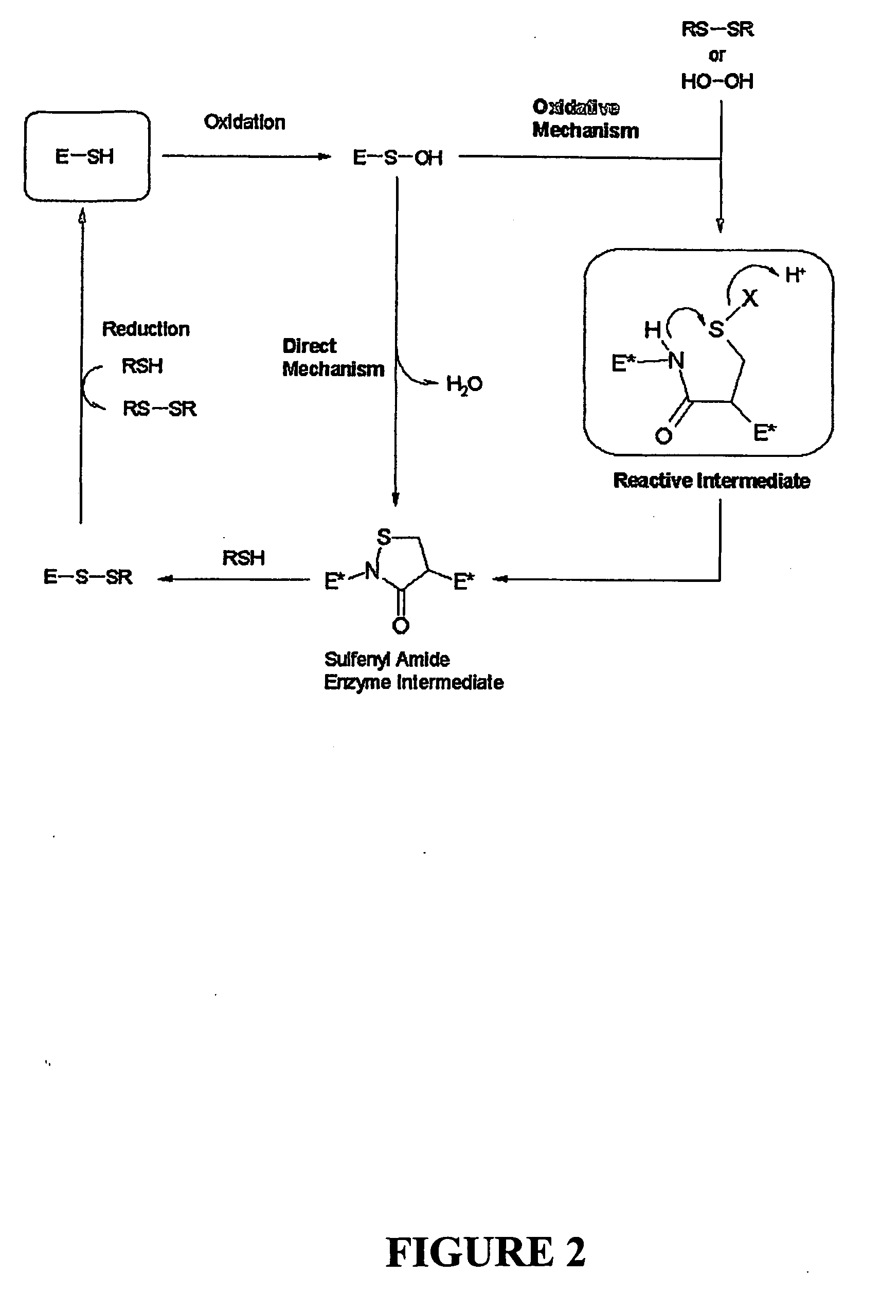 Pharmaceutical compounds