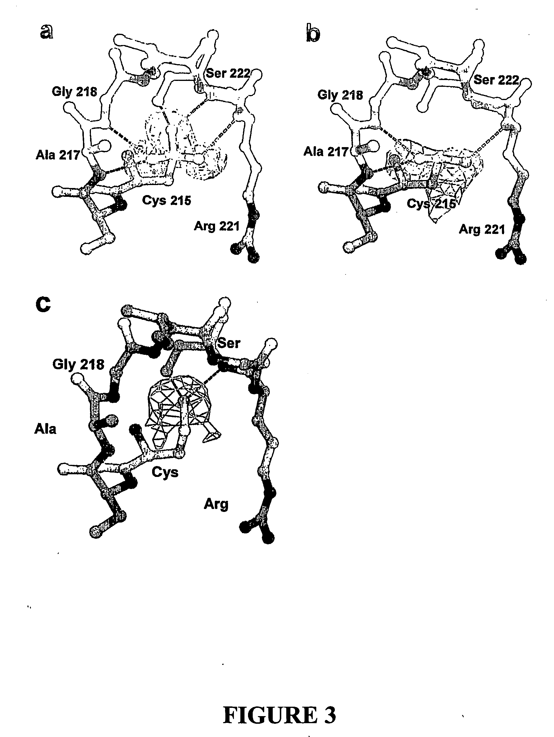 Pharmaceutical compounds