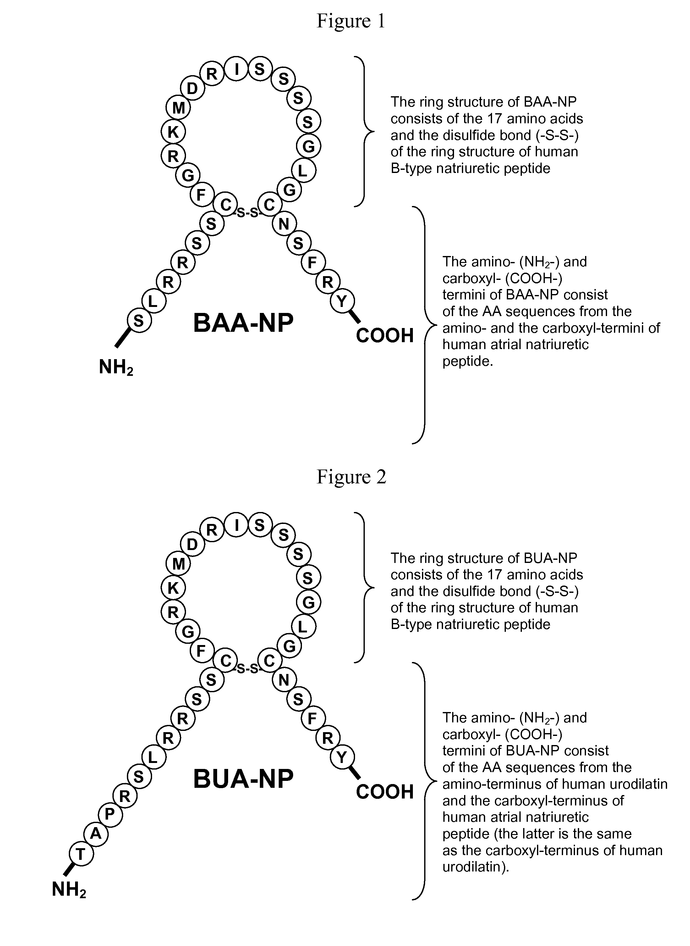 Natriuretic polypeptides with unique pharmacologic profiles