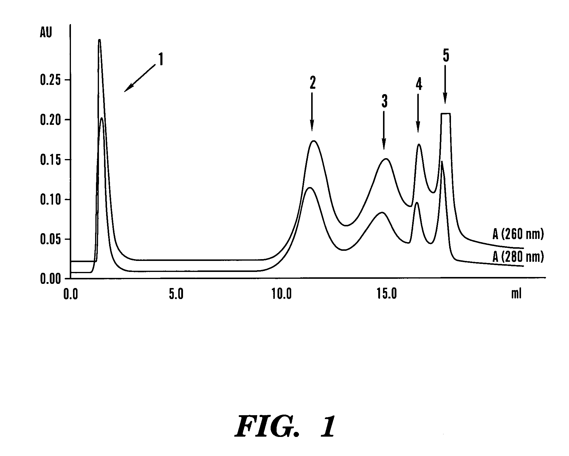 Nucleic acid directed immobilization arrays and methods of assembly