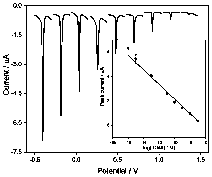 Electrochemical nucleic acid detection method based on DNA (deoxyribonucleic acid) walking and rolling circle amplification signal magnification