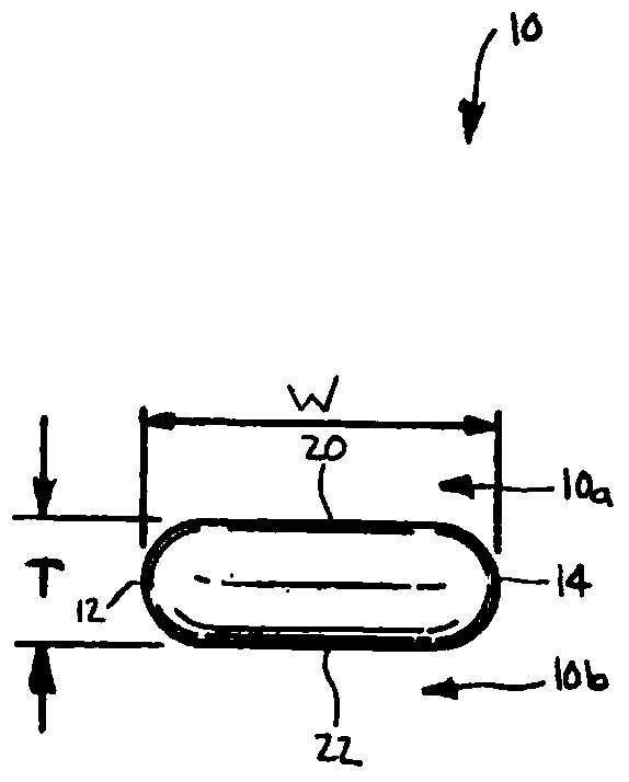 Implant with filament extension of adjustable loop disposed in shuttle suture