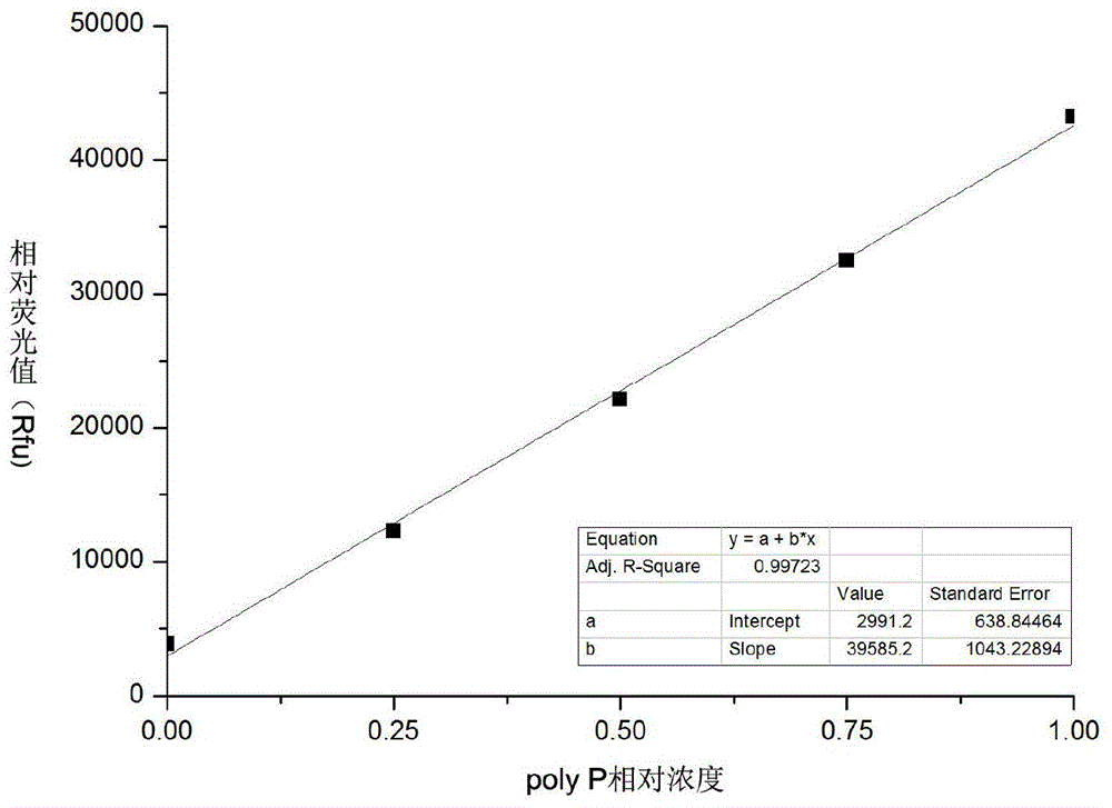 Method for quantitatively detecting polyphosphates in microbial cells