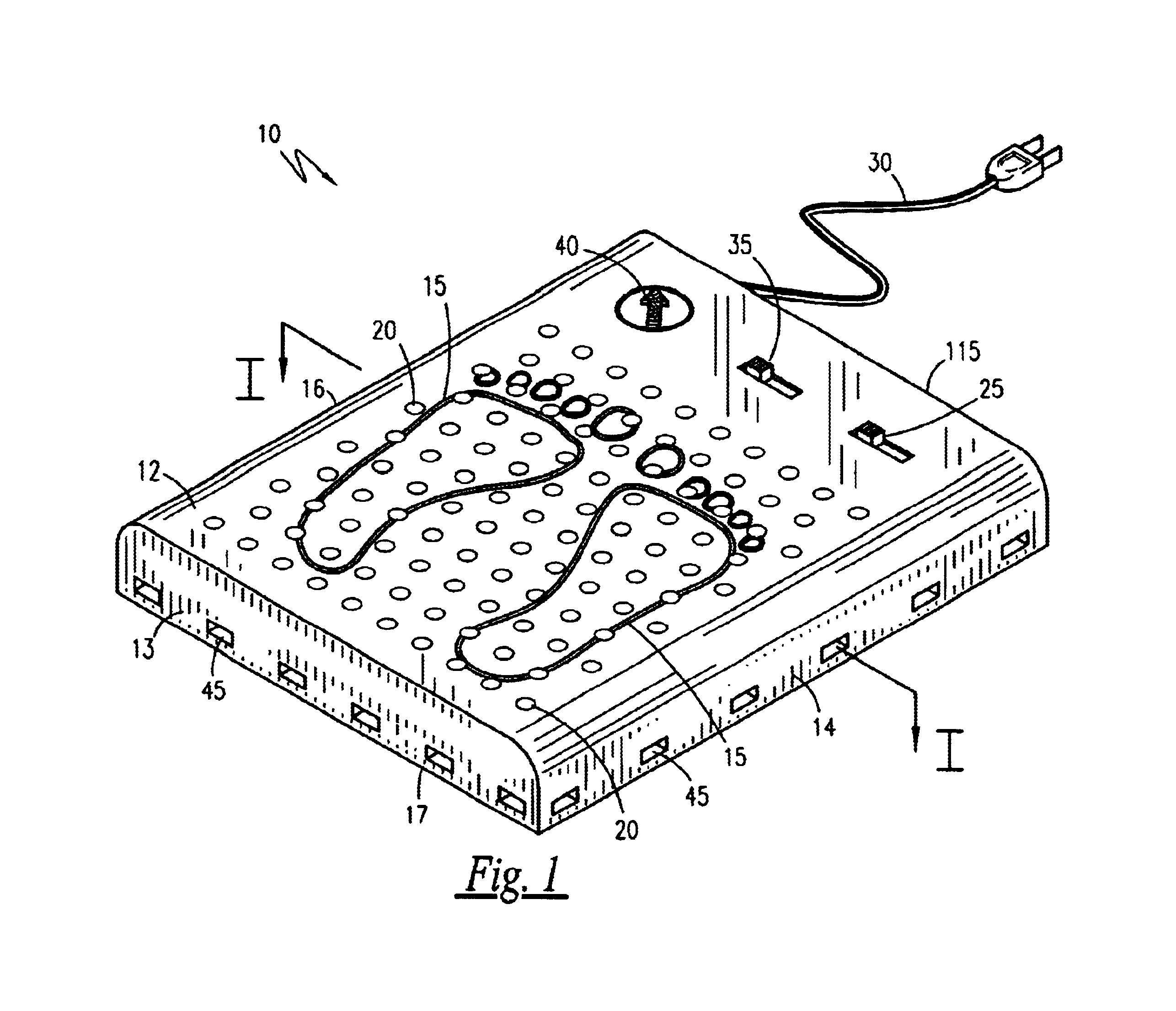 Dryer and atomized medicinal liquid apparatus for feet with shoe drying attachment