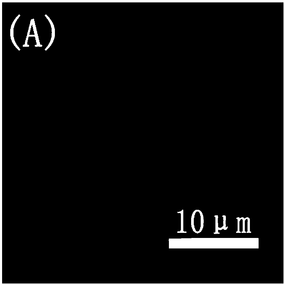 Molybdenum doped iron/nickel lamellar array @ nickel foam base composite electrode material and preparing method and application thereof