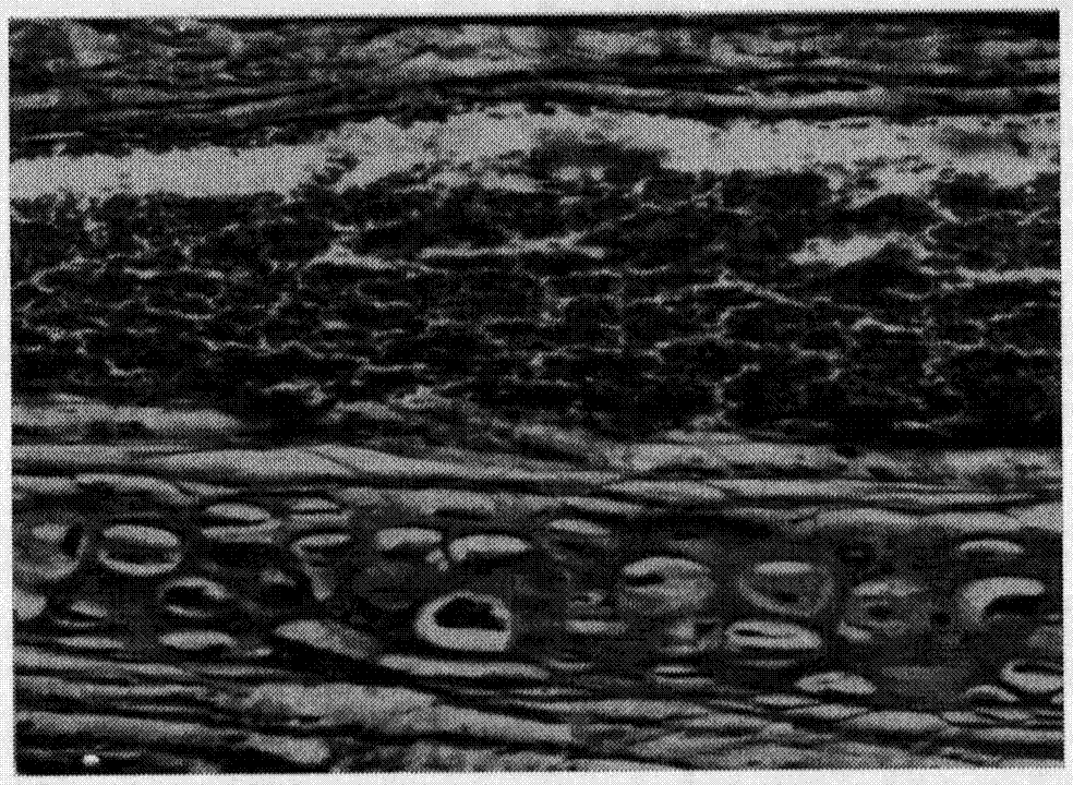 Calf blood deproteinized extract composition and its injection and preparation method