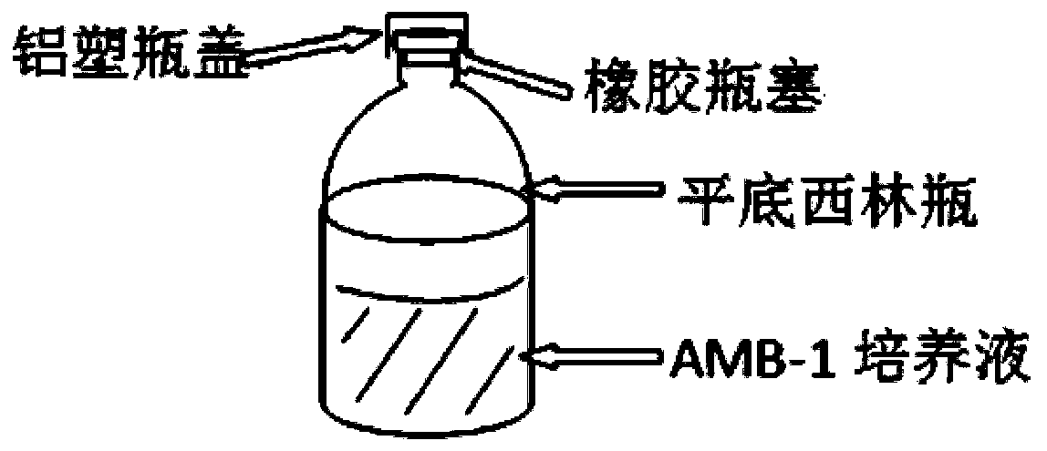 Device for controlling oxygen concentration in magnetotactic bacterium culturing process and culture method