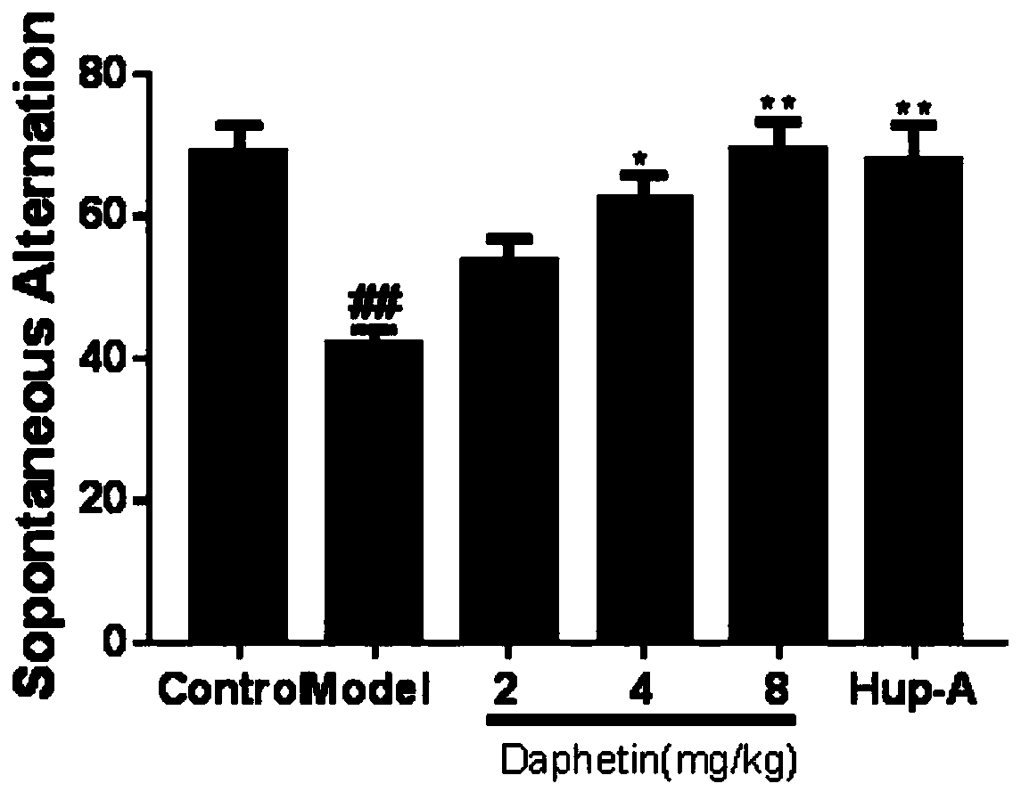 New application of daphnetin in preparation of drugs for preventing and treating neurodegenerative diseases