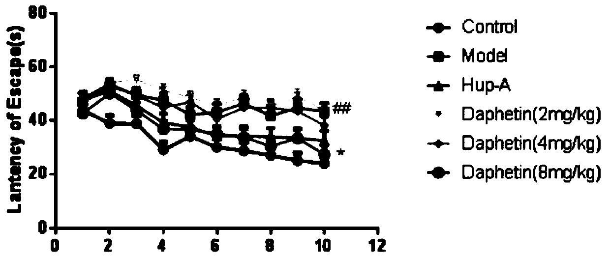 New application of daphnetin in preparation of drugs for preventing and treating neurodegenerative diseases