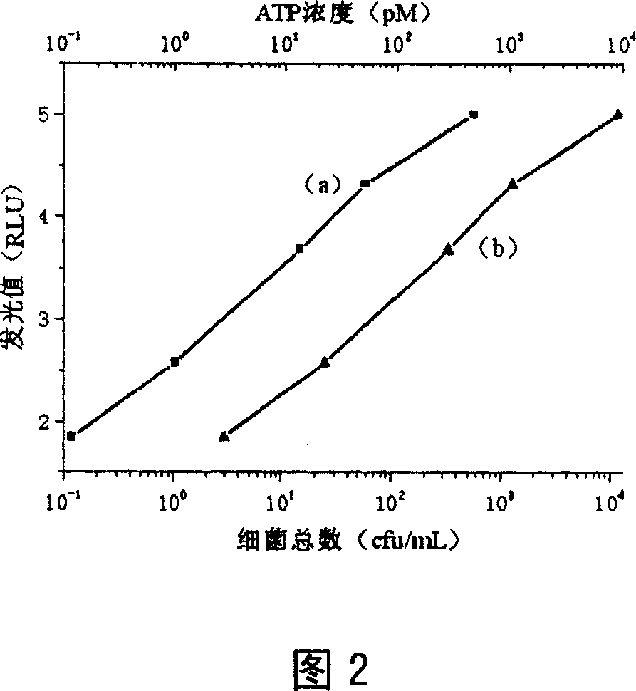 Anti-interference food bacteria total number quick detection method and reagent