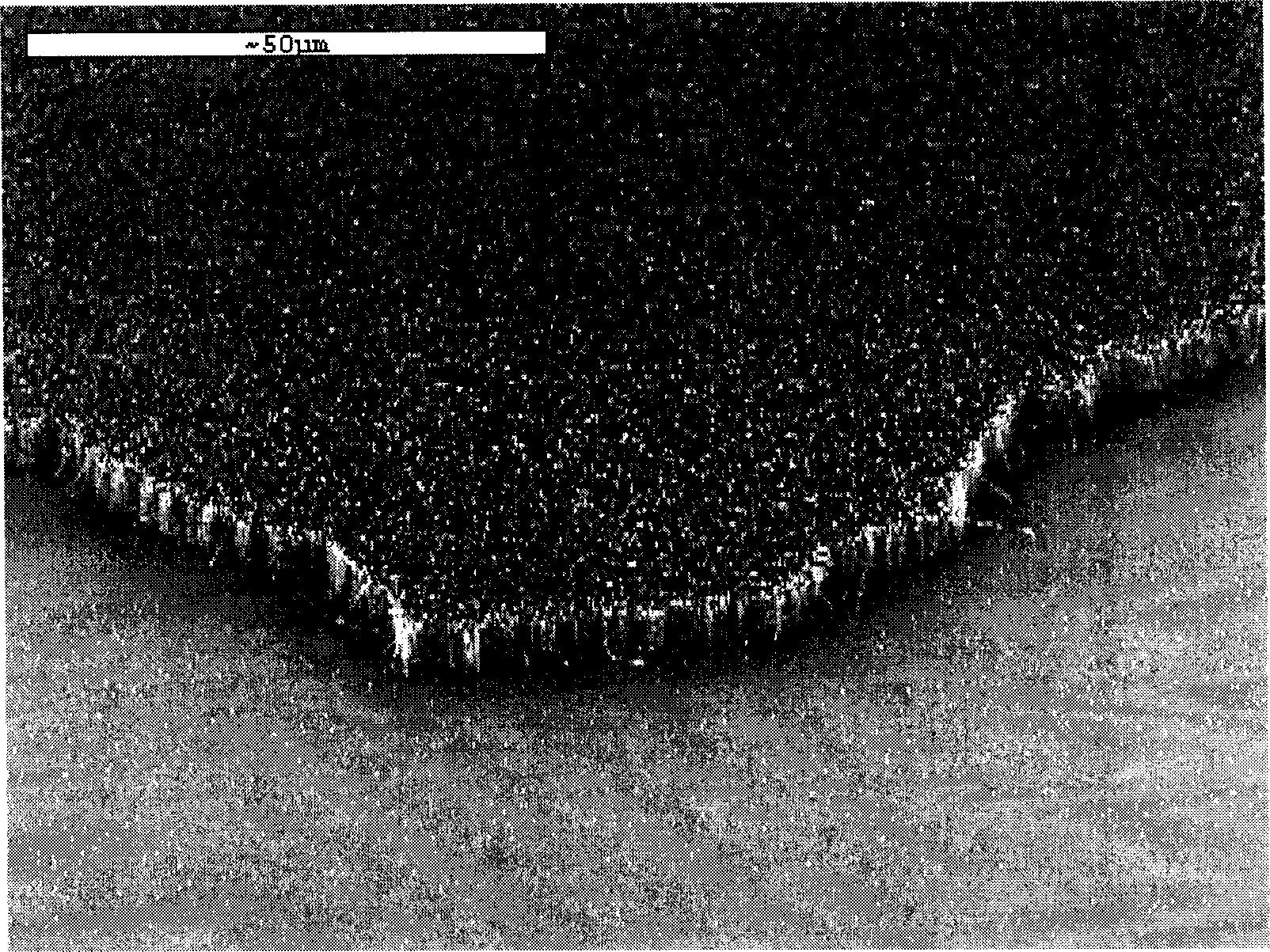 Array nanotube, mfg. method and use thereof