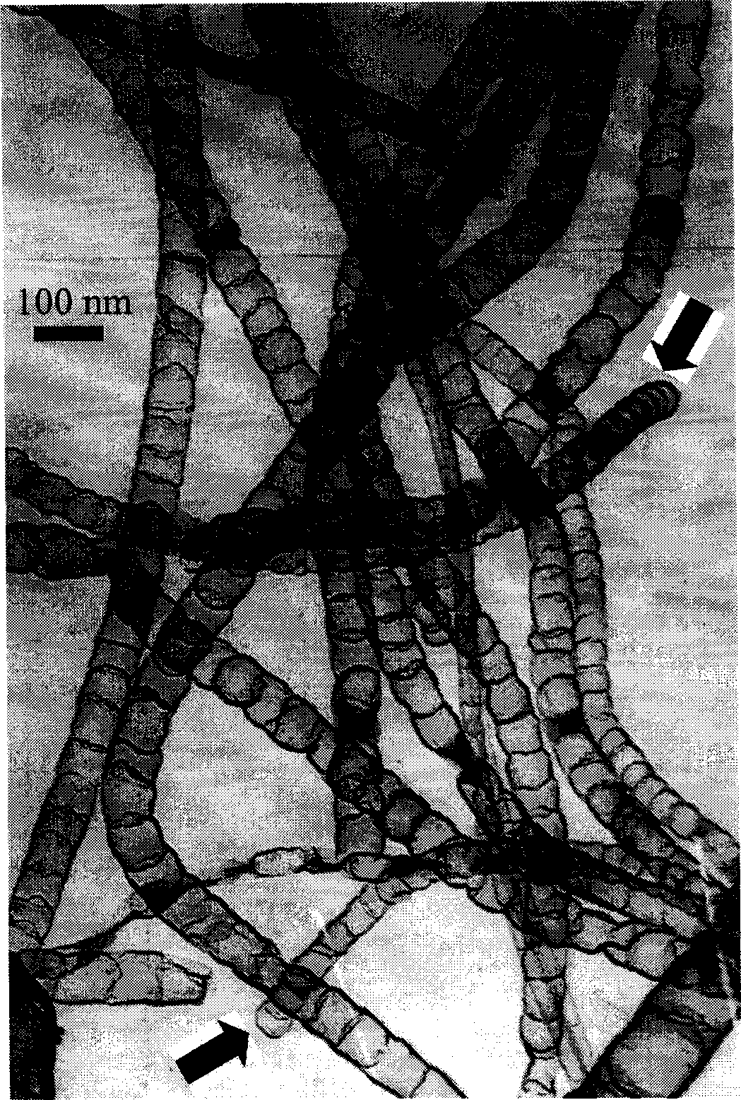 Array nanotube, mfg. method and use thereof