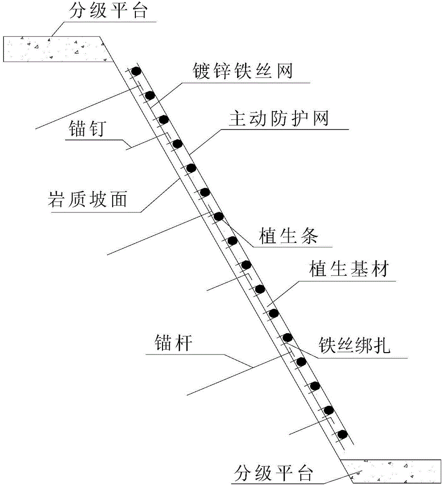 Spray-sowing slope protection structure for steep rock side slope