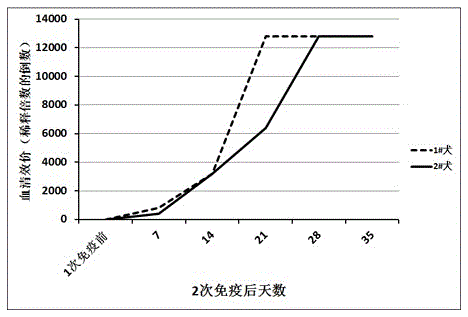 A detection kit for canine parvovirus IgG antibody