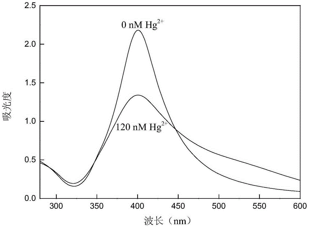 Preparation method and application of nano-silver probe for detecting mercury ions