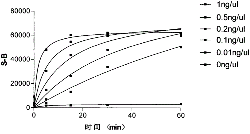 High flux screening method for screening tropomyosin-related kinase B inhibitor