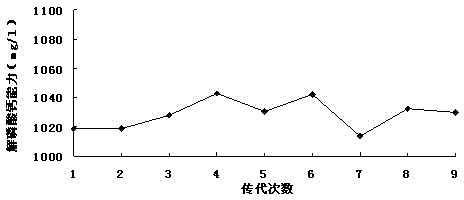 Pseudomonas vranovensis with phosphorus solubilizing capability and application thereof